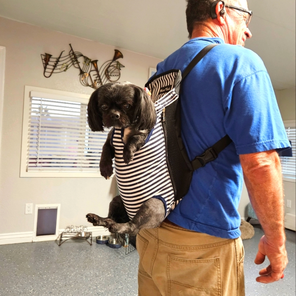 Legs Out Front or Back Dog Carrier Backback for Small Dogs